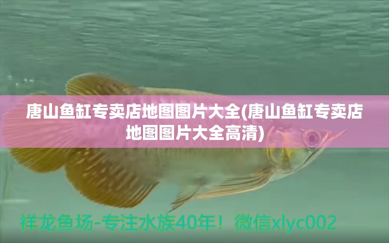 唐山魚缸專賣店地圖圖片大全(唐山魚缸專賣店地圖圖片大全高清)