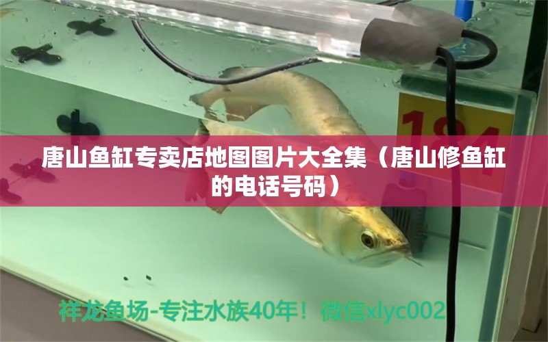 唐山魚缸專賣店地圖圖片大全集（唐山修魚缸的電話號碼）