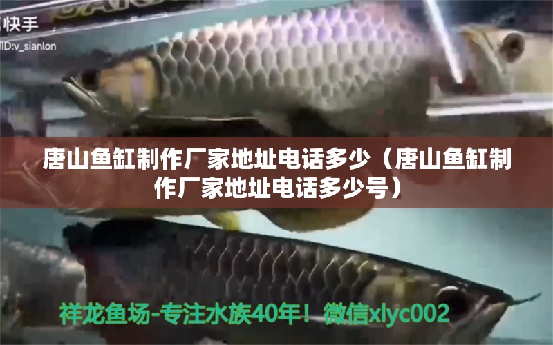 唐山魚(yú)缸制作廠家地址電話多少（唐山魚(yú)缸制作廠家地址電話多少號(hào)）