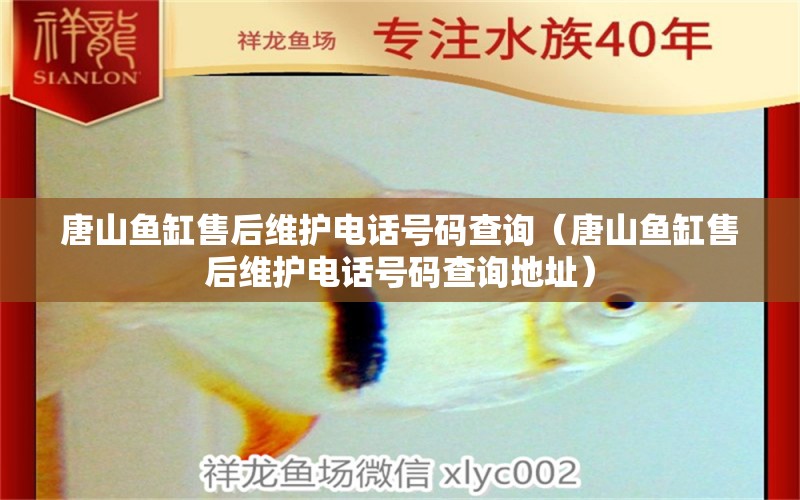 唐山魚(yú)缸售后維護(hù)電話號(hào)碼查詢（唐山魚(yú)缸售后維護(hù)電話號(hào)碼查詢地址）