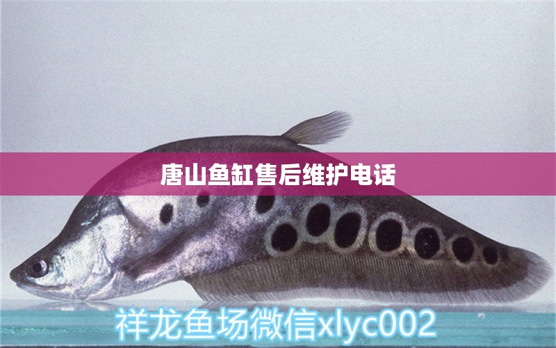 唐山魚(yú)缸售后維護(hù)電話