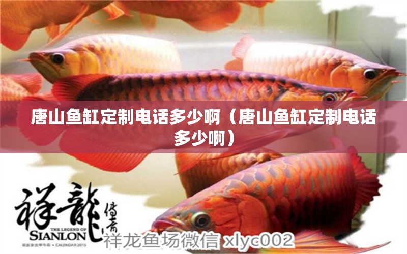 唐山魚(yú)缸定制電話(huà)多少?。ㄌ粕紧~(yú)缸定制電話(huà)多少?。?祥龍水族醫(yī)院