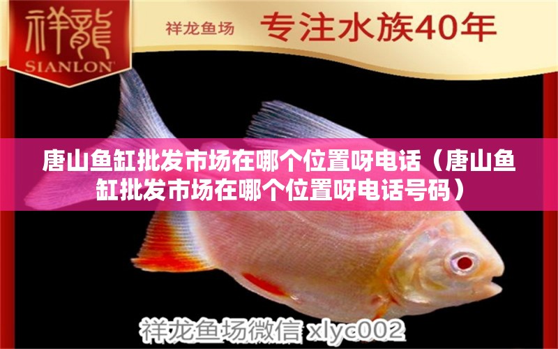 唐山魚缸批發(fā)市場在哪個位置呀電話（唐山魚缸批發(fā)市場在哪個位置呀電話號碼）