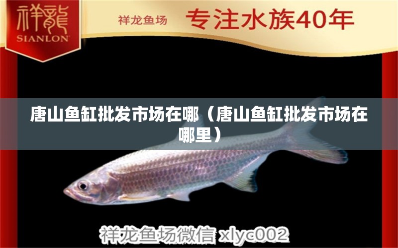 唐山魚(yú)缸批發(fā)市場(chǎng)在哪（唐山魚(yú)缸批發(fā)市場(chǎng)在哪里）