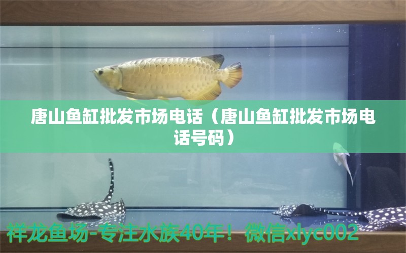 唐山魚缸批發(fā)市場電話（唐山魚缸批發(fā)市場電話號碼）