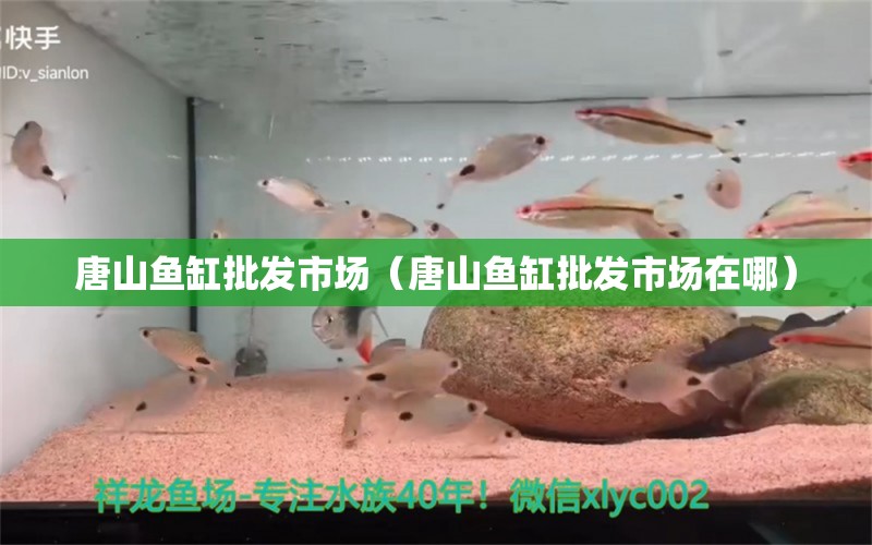 唐山魚(yú)缸批發(fā)市場(chǎng)（唐山魚(yú)缸批發(fā)市場(chǎng)在哪）