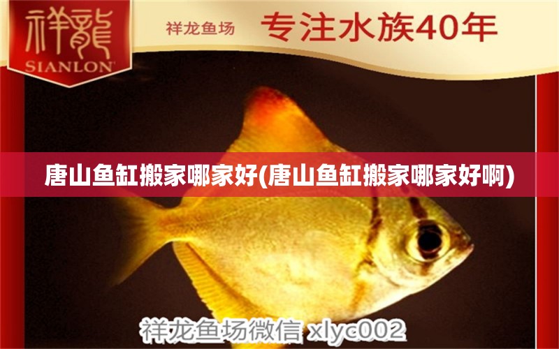 唐山魚缸搬家哪家好(唐山魚缸搬家哪家好啊) 黑桃A魚苗