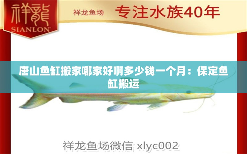 唐山魚缸搬家哪家好啊多少錢一個月：保定魚缸搬運 廣州水族批發(fā)市場 第2張