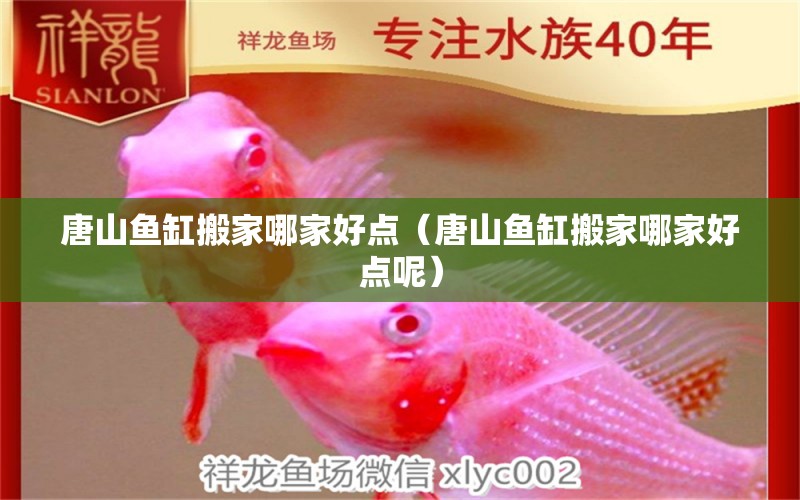 唐山魚缸搬家哪家好點（唐山魚缸搬家哪家好點呢）