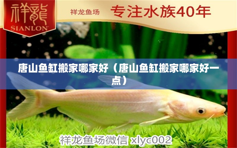 唐山魚缸搬家哪家好（唐山魚缸搬家哪家好一點(diǎn)） 其他品牌魚缸