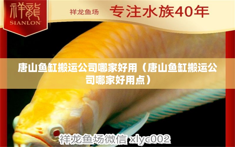 唐山魚(yú)缸搬運(yùn)公司哪家好用（唐山魚(yú)缸搬運(yùn)公司哪家好用點(diǎn)）