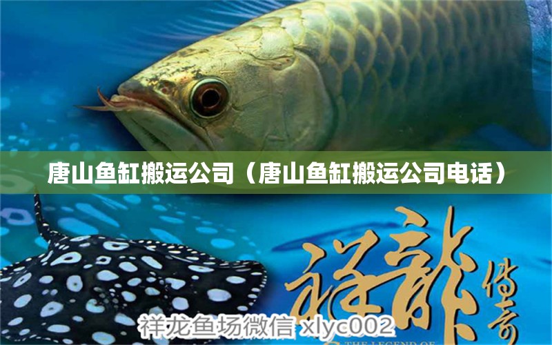 唐山魚(yú)缸搬運(yùn)公司（唐山魚(yú)缸搬運(yùn)公司電話）