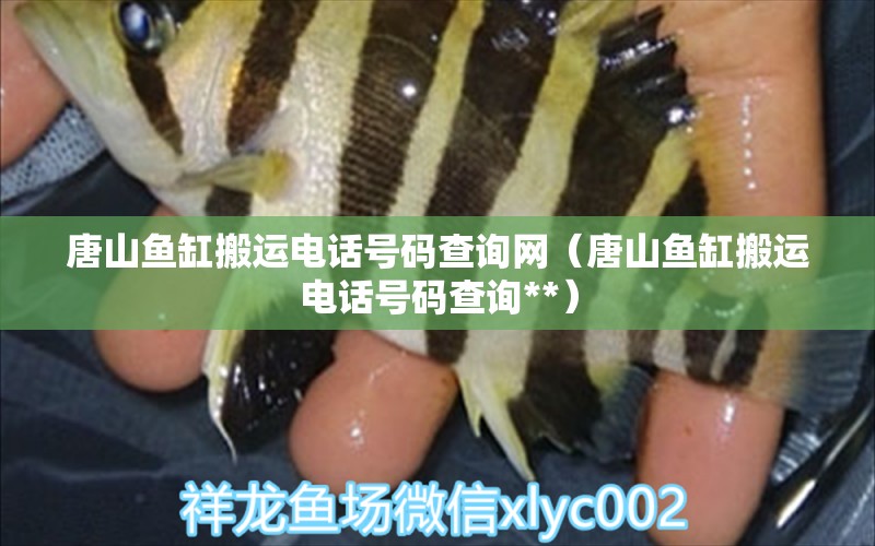 唐山魚缸搬運(yùn)電話號(hào)碼查詢網(wǎng)（唐山魚缸搬運(yùn)電話號(hào)碼查詢**） 祥龍水族醫(yī)院