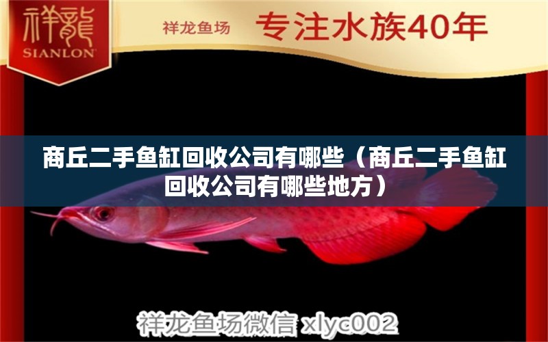 商丘二手魚缸回收公司有哪些（商丘二手魚缸回收公司有哪些地方） 祥龍水族醫(yī)院