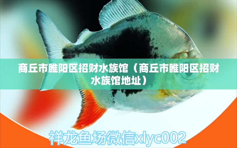 商丘市睢陽區(qū)招財水族館（商丘市睢陽區(qū)招財水族館地址） 全國水族館企業(yè)名錄