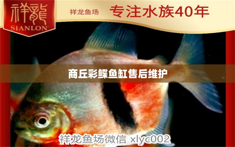 商丘彩鰈魚缸售后維護 彩鰈魚缸（彩蝶魚缸）