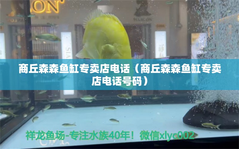 商丘森森魚缸專賣店電話（商丘森森魚缸專賣店電話號(hào)碼） 祥龍魚場(chǎng)品牌產(chǎn)品