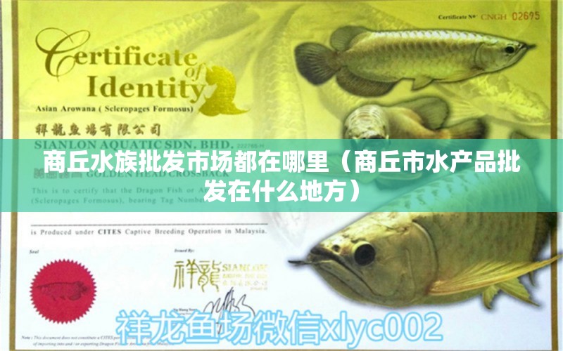 商丘水族批發(fā)市場都在哪里（商丘市水產(chǎn)品批發(fā)在什么地方） 觀賞魚水族批發(fā)市場