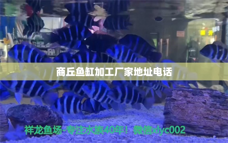 商丘魚缸加工廠家地址電話