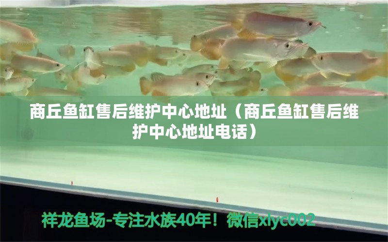 商丘魚缸售后維護(hù)中心地址（商丘魚缸售后維護(hù)中心地址電話） 其他品牌魚缸