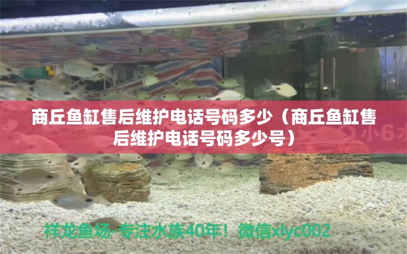 商丘魚缸售后維護(hù)電話號碼多少（商丘魚缸售后維護(hù)電話號碼多少號） 其他品牌魚缸