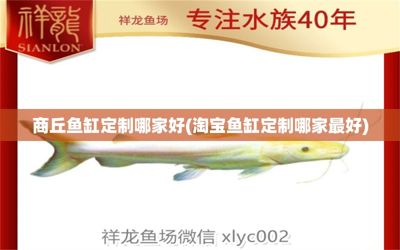 商丘魚(yú)缸定制哪家好(淘寶魚(yú)缸定制哪家最好)