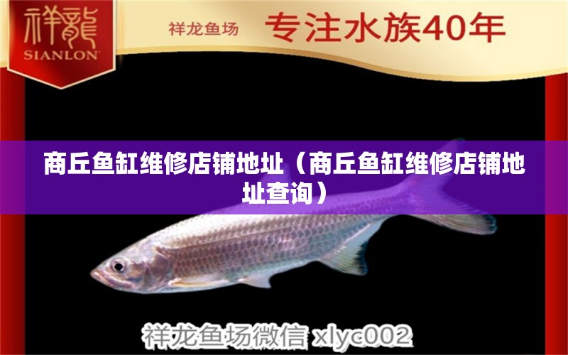 商丘魚(yú)缸維修店鋪地址（商丘魚(yú)缸維修店鋪地址查詢） 和尚魚(yú)