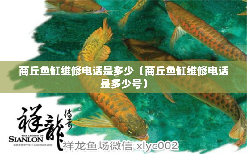 商丘魚缸維修電話是多少（商丘魚缸維修電話是多少號(hào)） 其他品牌魚缸