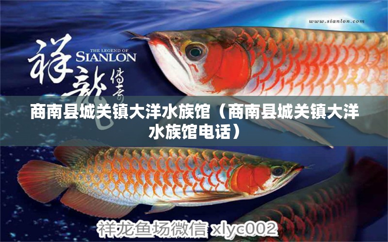 商南縣城關(guān)鎮(zhèn)大洋水族館（商南縣城關(guān)鎮(zhèn)大洋水族館電話） 全國水族館企業(yè)名錄