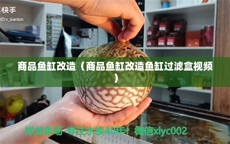 商品魚缸改造（商品魚缸改造魚缸過濾盒視頻）