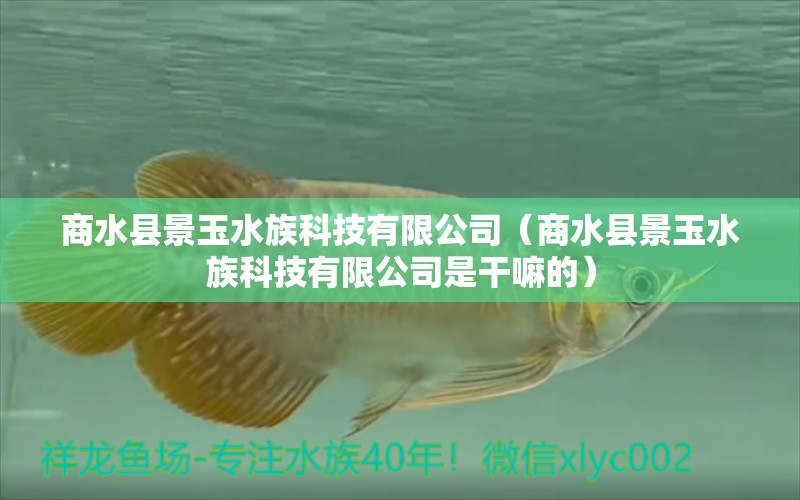 商水縣景玉水族科技有限公司（商水縣景玉水族科技有限公司是干嘛的）