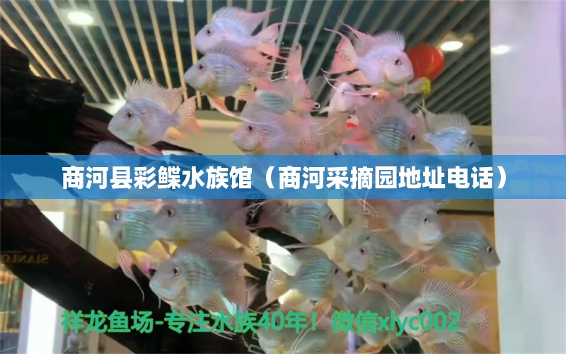 商河縣彩鰈水族館（商河采摘園地址電話） 全國水族館企業(yè)名錄