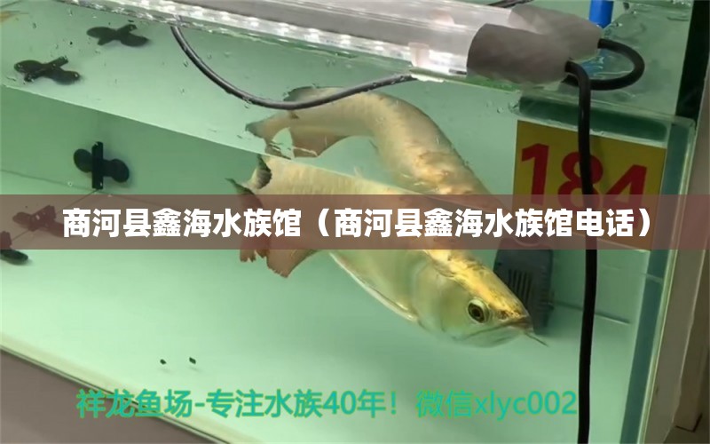 商河縣鑫海水族館（商河縣鑫海水族館電話） 全國水族館企業(yè)名錄