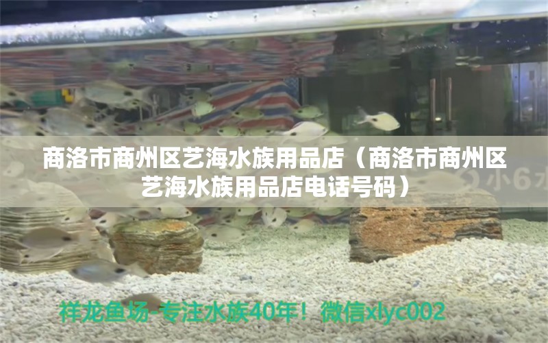 商洛市商州區(qū)藝海水族用品店（商洛市商州區(qū)藝海水族用品店電話號(hào)碼）