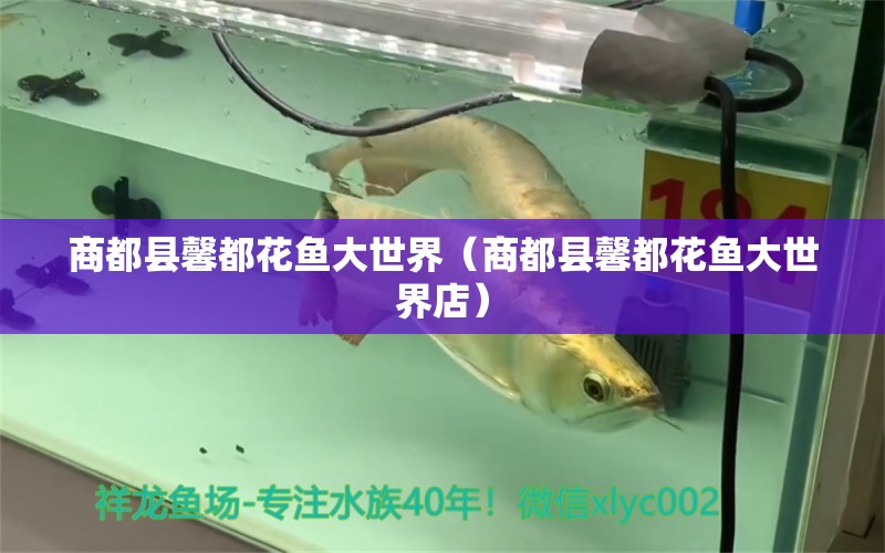 商都縣馨都花魚大世界（商都縣馨都花魚大世界店）