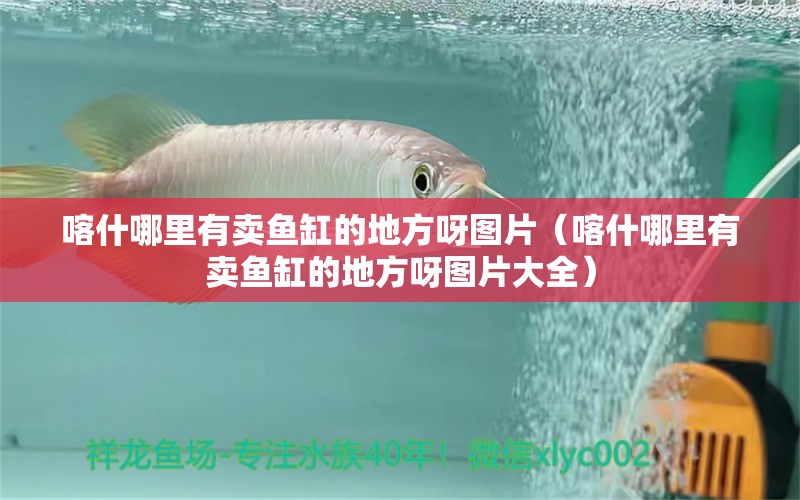 喀什哪里有賣魚缸的地方呀圖片（喀什哪里有賣魚缸的地方呀圖片大全） 祥龍水族醫(yī)院