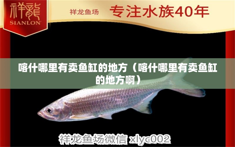 喀什哪里有賣魚缸的地方（喀什哪里有賣魚缸的地方?。? title=