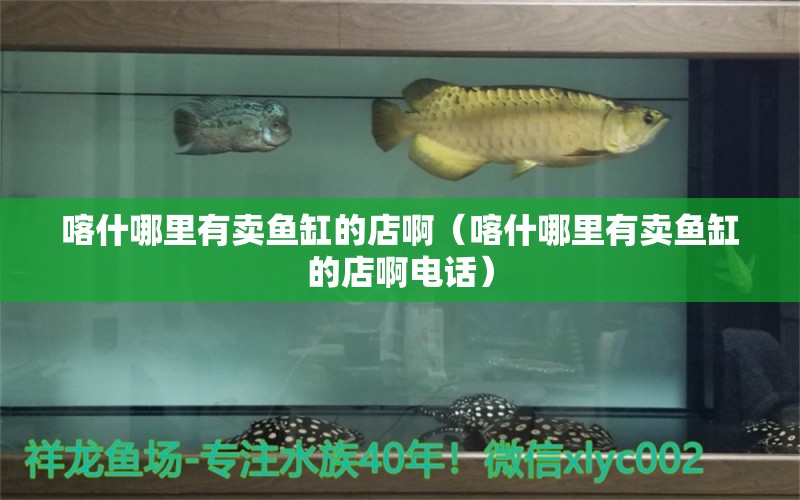 喀什哪里有賣魚缸的店啊（喀什哪里有賣魚缸的店啊電話）