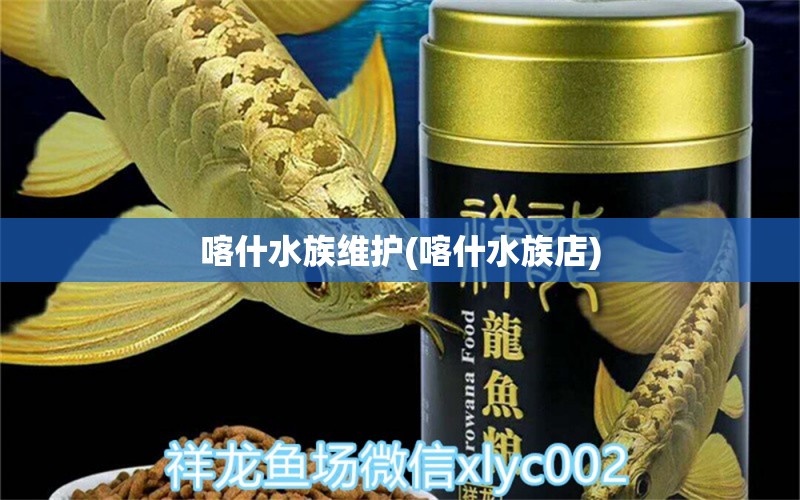 喀什水族維護(hù)(喀什水族店) 黑云魚(yú)