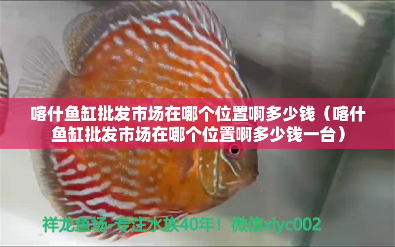 喀什魚缸批發(fā)市場在哪個位置啊多少錢（喀什魚缸批發(fā)市場在哪個位置啊多少錢一臺）