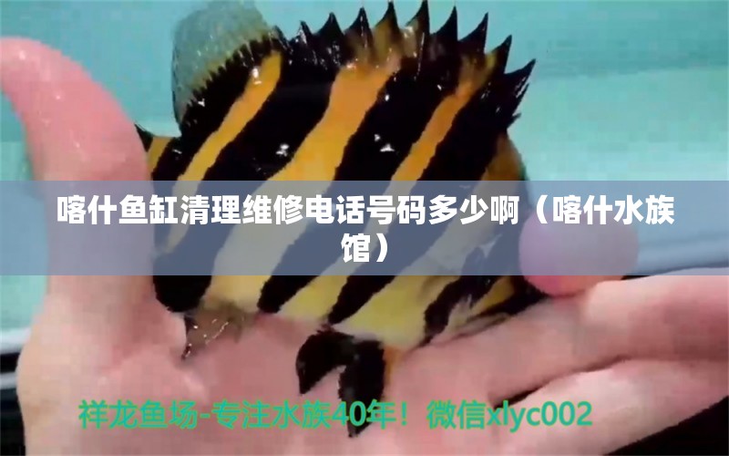 喀什魚缸清理維修電話號碼多少啊（喀什水族館）