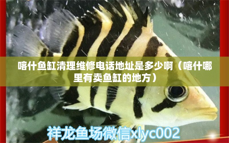 喀什魚缸清理維修電話地址是多少?。κ材睦镉匈u魚缸的地方）