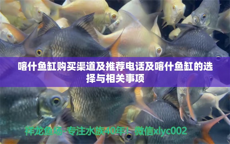 喀什魚缸購買渠道及推薦電話及喀什魚缸的選擇與相關(guān)事項 細線銀版魚