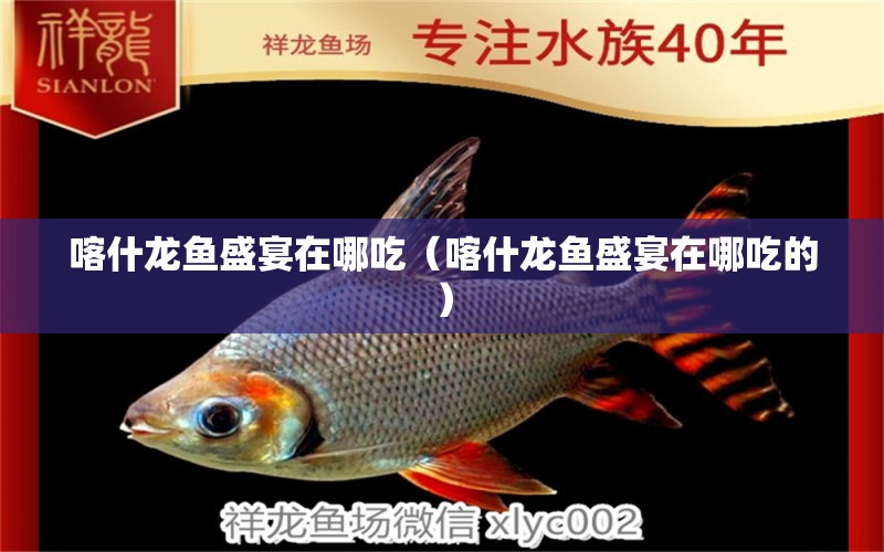 喀什龍魚盛宴在哪吃（喀什龍魚盛宴在哪吃的）