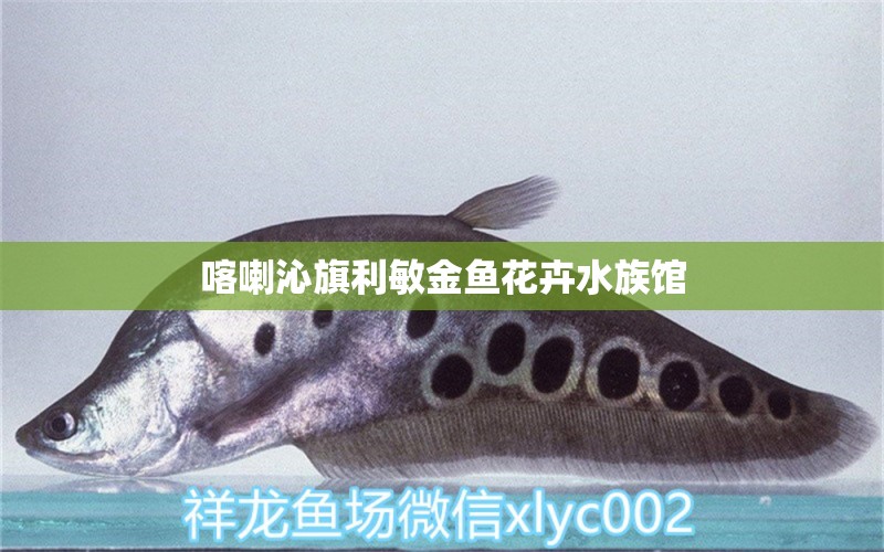 喀喇沁旗利敏金魚花卉水族館