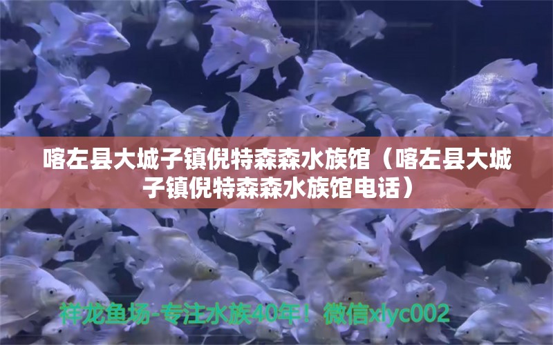 喀左縣大城子鎮(zhèn)倪特森森水族館（喀左縣大城子鎮(zhèn)倪特森森水族館電話）