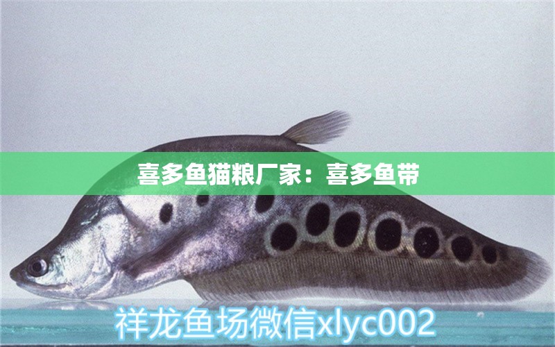 喜多魚貓糧廠家：喜多魚帶