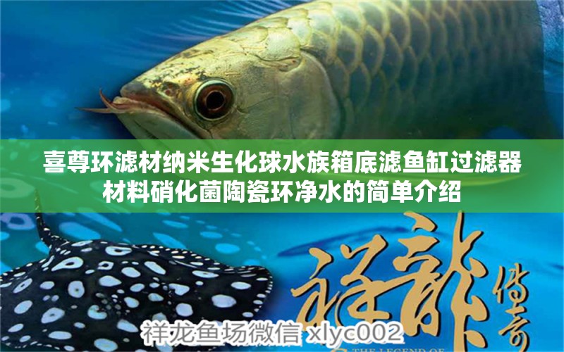 喜尊環(huán)濾材納米生化球水族箱底濾魚缸過濾器材料硝化菌陶瓷環(huán)凈水的簡(jiǎn)單介紹 魚缸/水族箱 第1張