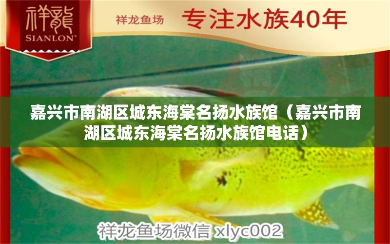 嘉興市南湖區(qū)城東海棠名揚(yáng)水族館（嘉興市南湖區(qū)城東海棠名揚(yáng)水族館電話）