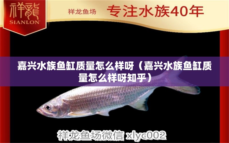 嘉興水族魚(yú)缸質(zhì)量怎么樣呀（嘉興水族魚(yú)缸質(zhì)量怎么樣呀知乎）